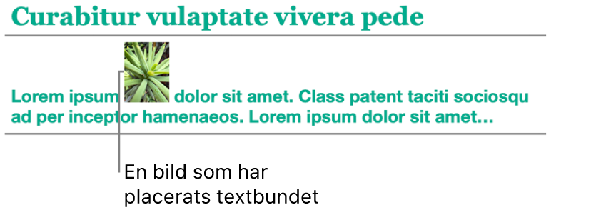 En bild placeras förankrad till texten.