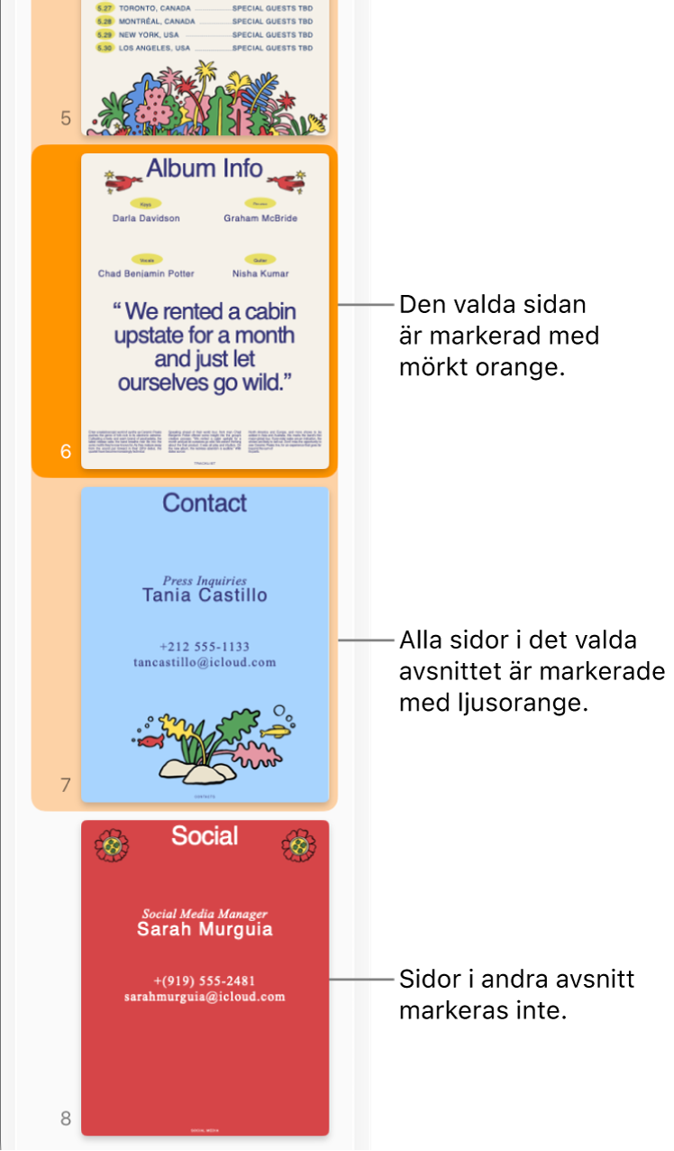 Sidofältet Miniatyrvy med den valda sidan markerad med mörkt orange och alla sidor i det valda avsnittet markerade med ljust orange.