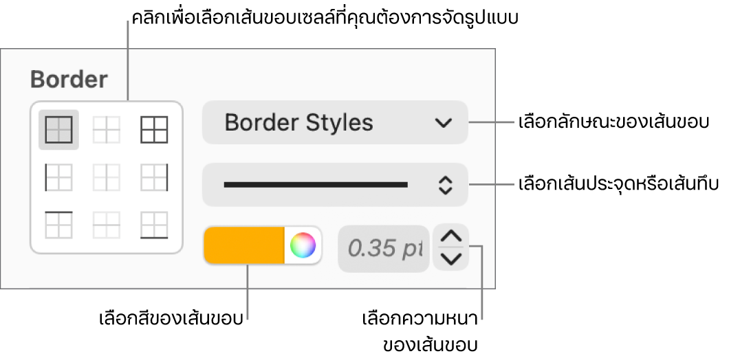 ตัวควบคุมการจัดลักษณะของเซลล์