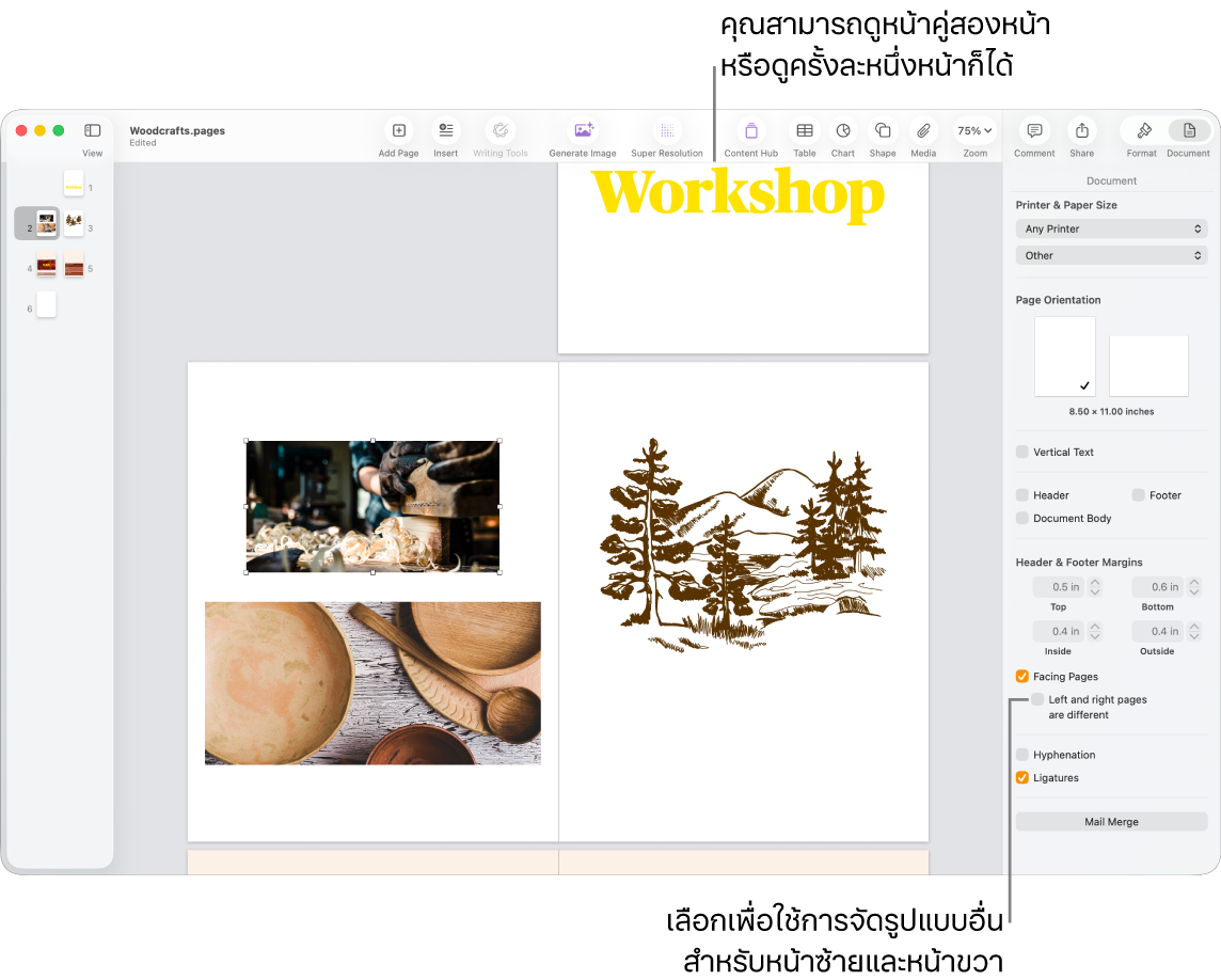 หน้าต่าง Pages ที่มีรูปย่อของหน้าและหน้าของเอกสารที่ถูกดูเป็นหน้าคู่แบบต่อเนื่องกัน ในแถบด้านข้างเอกสารด้านขวา กล่องกาเครื่องหมาย “หน้าซ้ายและหน้าขวาแตกต่างกัน” ไม่ได้ถูกเลือกอยู่