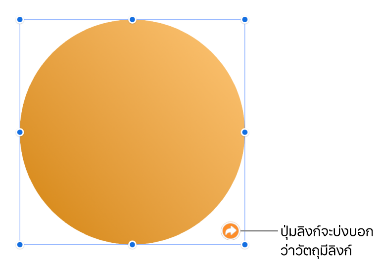ปุ่มลิงก์ในรูปร่าง