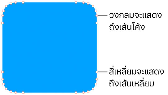 รูปร่างที่มีจุดที่แก้ไขได้