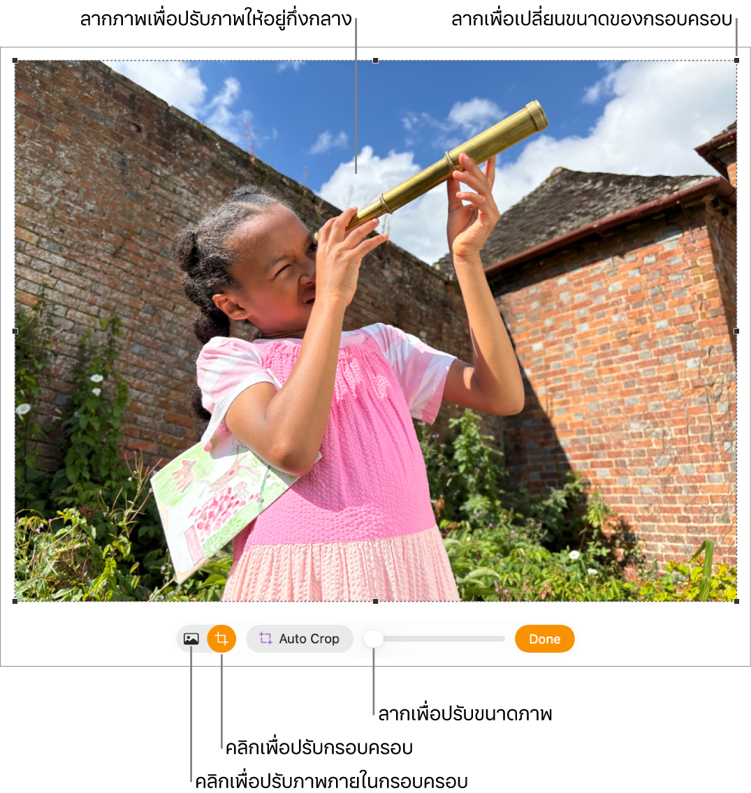 ตัวควบคุมการครอบที่อยู่เหนือรูปภาพ