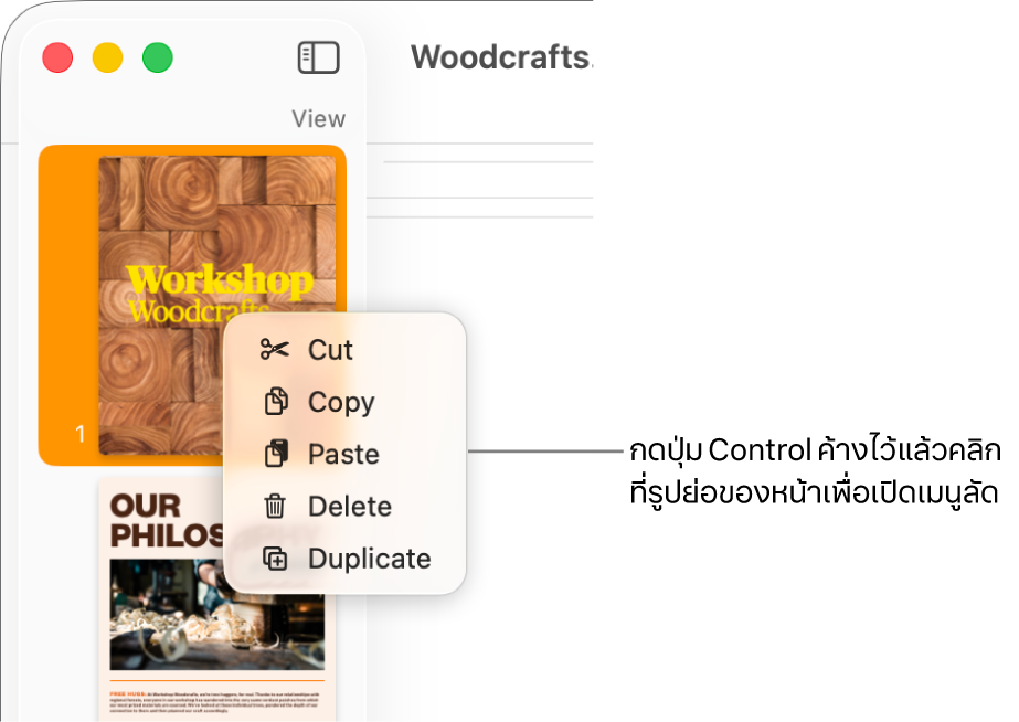 มุมมองรูปย่อของหน้าซึ่งมีรูปย่อหนึ่งถูกเลือกอยู่และเมนูลัดเปิดอยู่