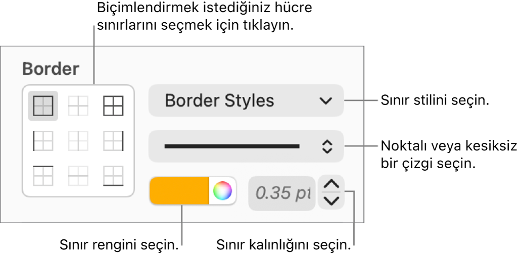 Hücre sınırlarına stil eklemeye ilişkin denetimler.