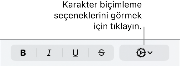 Kalın, İtalik, Altı Çizgili ve Üstü Çizgili düğmelerinin sağ tarafında İleri Düzey Seçenekler açılır menüsü.