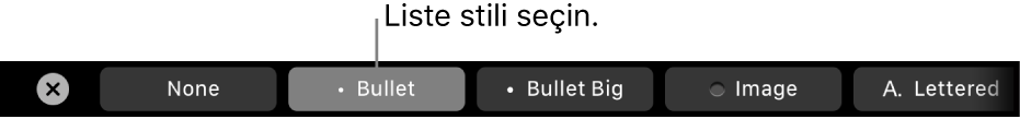 Liste stili seçme denetimleri ile MacBook Pro Touch Bar.
