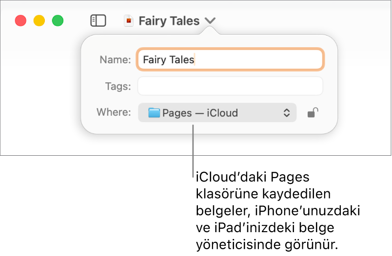 Yer açılır menüsünde Pages—iCloud olan bir belge için Kaydet sorgu kutusu.