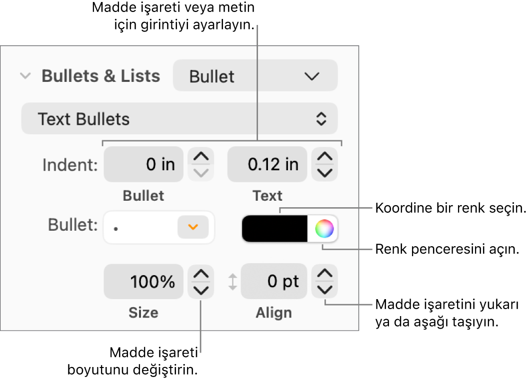 Madde işareti ve metin girintisi, madde işareti rengi, madde işareti büyüklüğü ve hizalaması için denetim belirtimlerini içeren İşaretler ve Listeler bölümü.