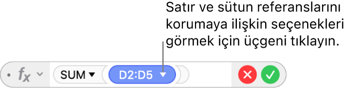 Satır ve sütun seçeneklerini koruma seçeneklerini açmak için tıkladığınız bir üçgenle Formül Düzenleyici.