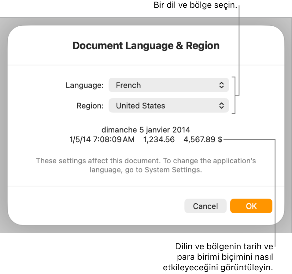 Dil ve bölge denetimleri ve tarih, saat, ondalık ve para birimi de dahil olmak üzere bir biçim örneği ile Dil ve Bölge bölümü.