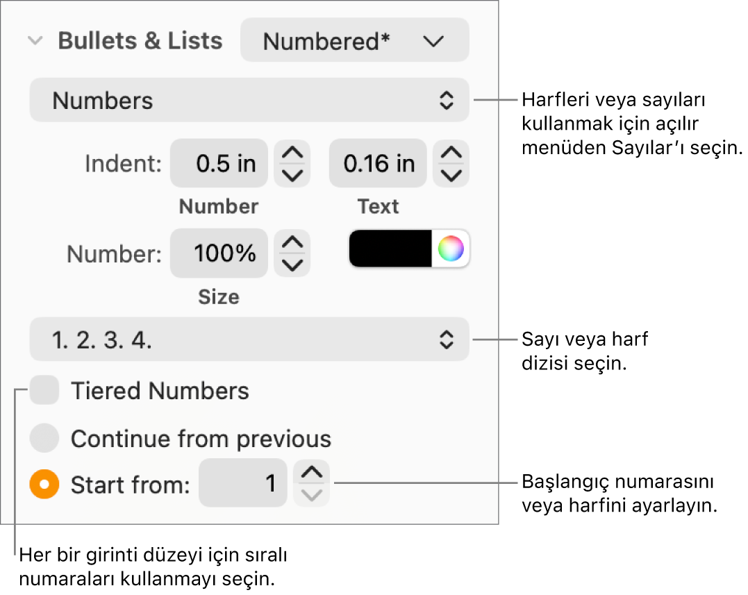 Numara stilini ve bir lise boşluğunu değiştirme denetimleri.