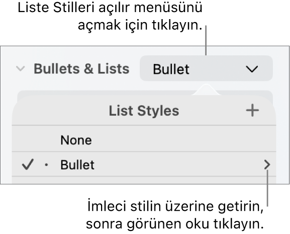 Tek stil seçili ve en sağında bir ok ile Liste Stilleri açılır menüsü.