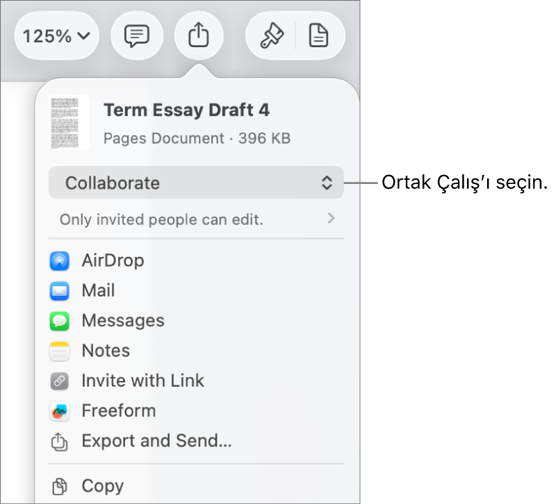 En üstte Ortak Çalış seçili olan Paylaş menüsü ve altında erişim ve izin ayarları.