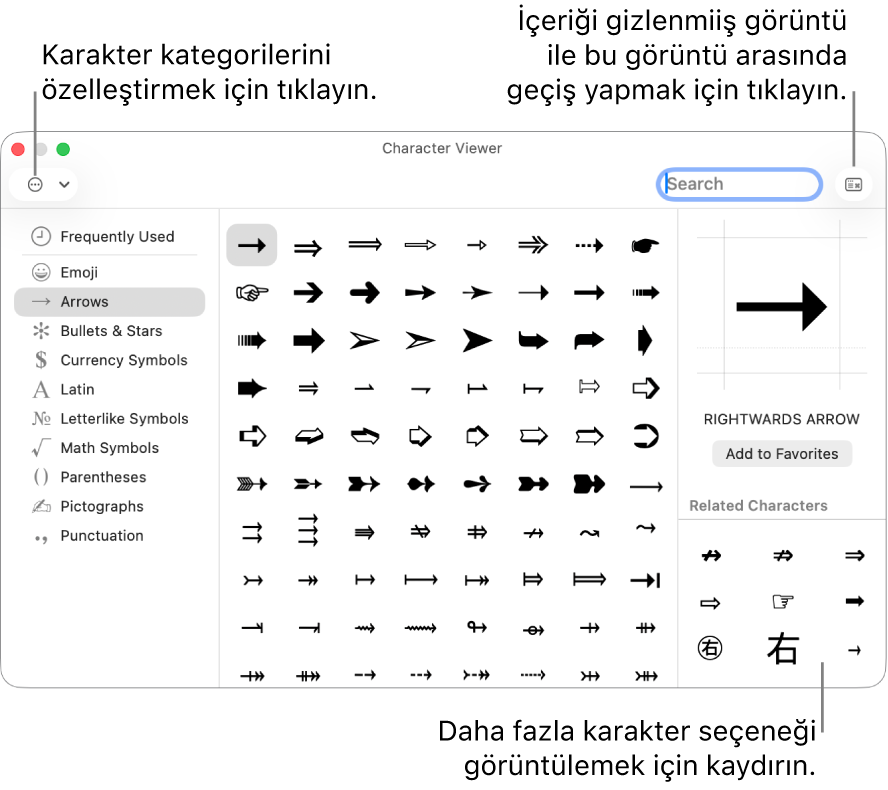 İçeriği gösterilen Karakter Görüntüleyici özel karakterleri ve sembolleri, sol tarafta farklı sembol kategorileri için bir menü, sağ üst köşede ise içeriği gizlenmiş görüntüye dönmenize olanak tanıyan bir düğme gösteriyor.