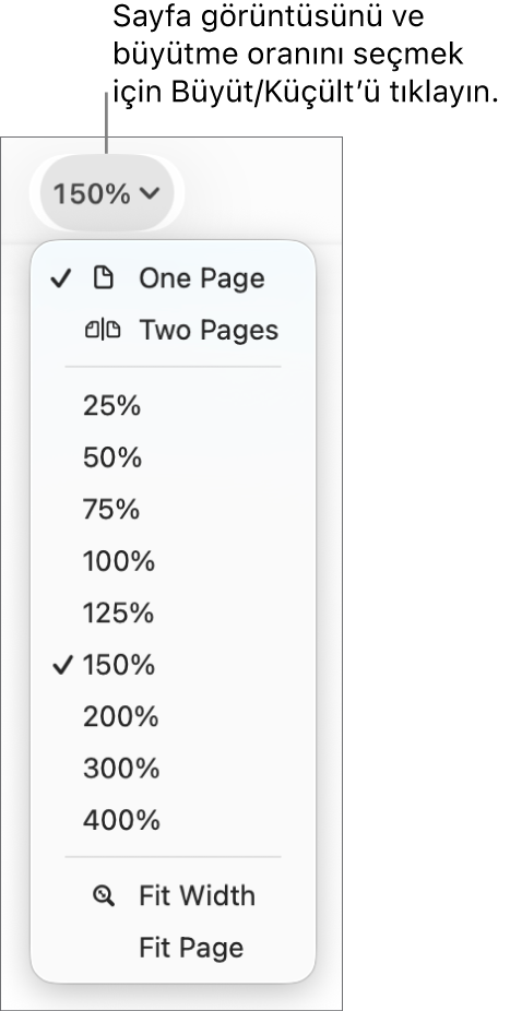 En üstte bir sayfa ve iki sayfa görüntüleme seçeneği, onun altında %25 ile %400 arasında değişen yüzdeler ve en altta Genişliği Sığdır ve Sayfaya Sığdır ile Büyüt/Küçült açılır menüsü.
