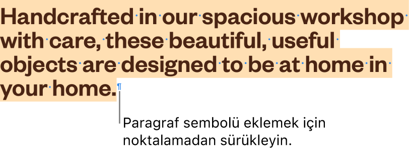 Seçime eklenmiş paragraf sembolü ile seçili bir paragraf.