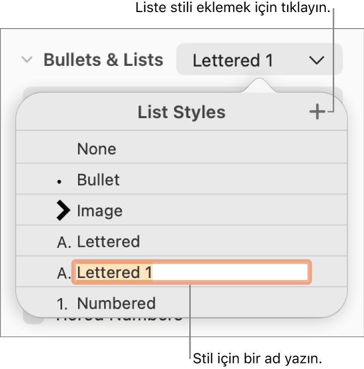 Sağ üst köşede Ekle düğmesi olan Liste Stilleri açılır menüsü ve metni seçili olan yer tutucu stili adı.