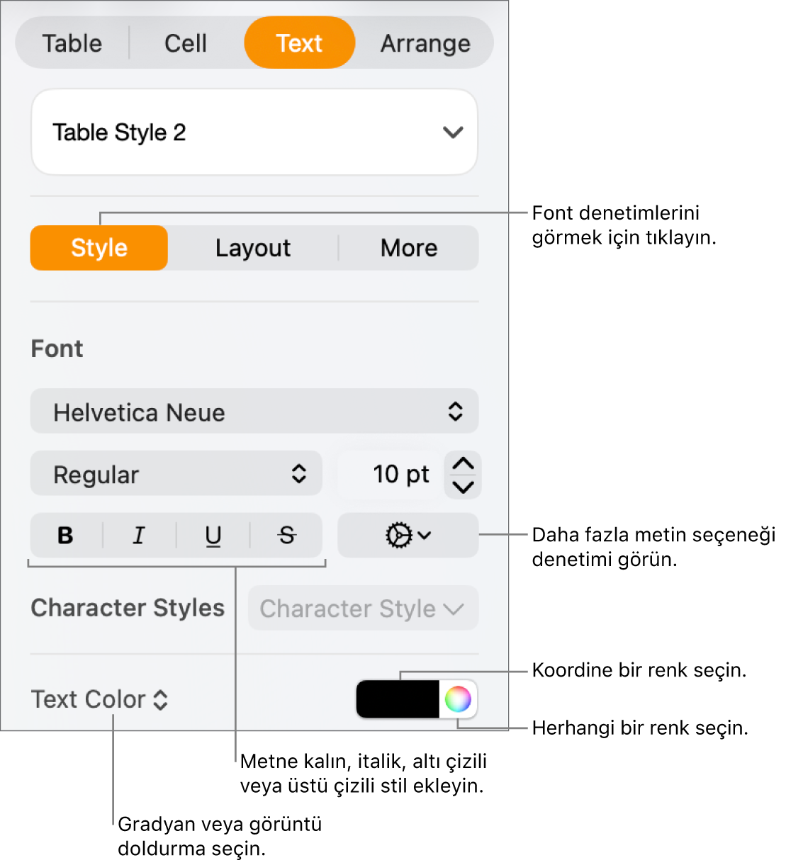 Tablo metnine stil ekleme denetimleri.