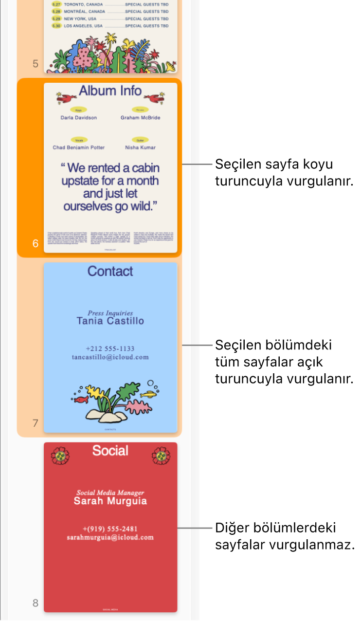 Seçilen sayfa koyu turuncuyla ve seçilen bölümdeki tüm sayfalar açık turuncuyla vurgulanmış olan Küçük Resim Görüntüsü kenar çubuğu.