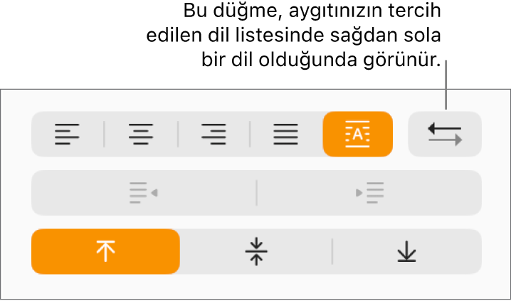 Paragraf yönü düğmesi paragraf hizalama düğmelerinin hemen yanındadır.