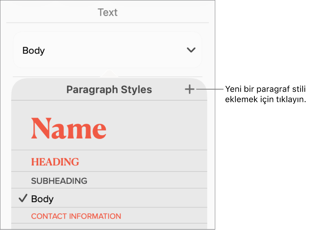 Yeni Stil düğmesi belirtimini içeren Paragraf Stilleri menüsü.