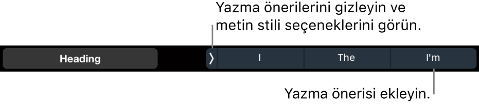 Metin stili seçme, yazma önerilerini gizleme ve yazma önerilerini girme denetimleri ile MacBook Pro Touch Bar.