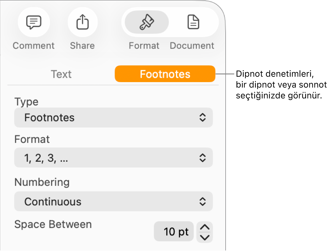 Tip, Biçim, Numaralandırma ve notlar arasındaki aralık için açılır menüleri gösteren Dipnotlar bölmesi.