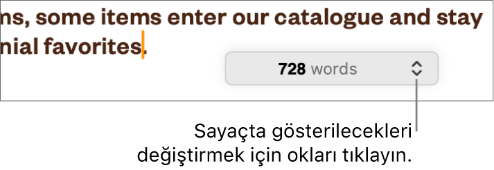 Belgedeki sözcük sayısını gösteren sözcük sayısı menüsü.