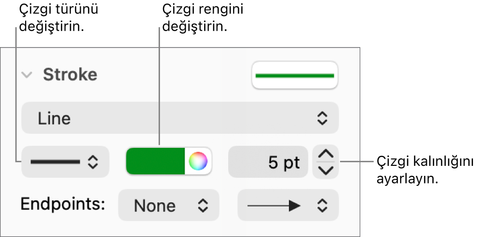 Uç noktaları, çizgi kalınlığını ve rengi ayarlamak için çizgi denetimleri.