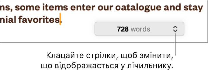 Меню лічильника слів, у якому показано кількість слів у документі.