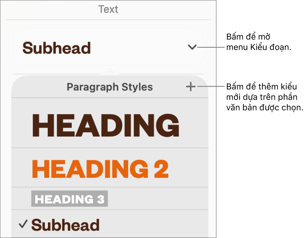 Menu Kiểu đoạn, hiển thị các điều khiển để thêm hoặc thay đổi kiểu.