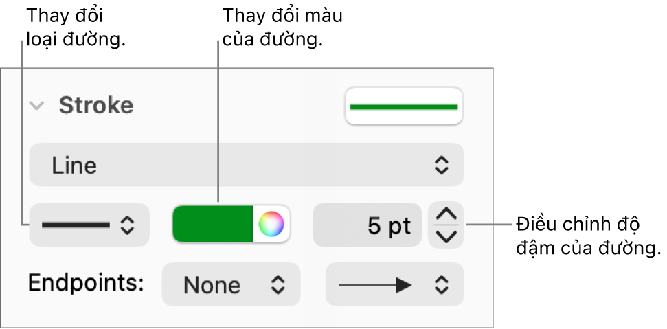 Các điều khiển nét để đặt điểm cuối, độ đậm của đường và màu.