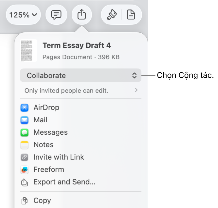 Menu Chia sẻ với Cộng tác được chọn ở trên cùng và các cài đặt quyền truy cập và quyền ở bên dưới.