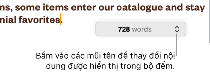 Menu số từ đang hiển thị số lượng từ trong tài liệu.