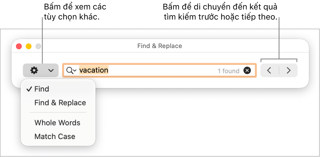 Cửa sổ Tìm & Thay thế với menu bật lên hiển thị các tùy chọn cho Tìm, Tìm & Thay thế, Cả từ và Khớp viết hoa. Các mũi tên ở bên phải cho phép bạn chuyển đến kết quả tìm kiếm trước đó hoặc tiếp theo.