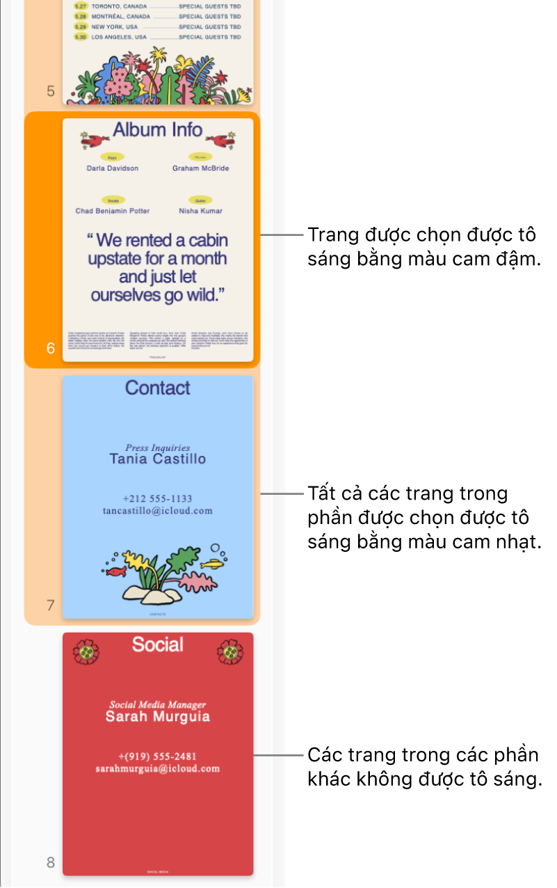 Thanh bên Chế độ xem hình thu nhỏ với trang được chọn được tô sáng bằng màu cam đậm và tất cả các trang trong phần được chọn được tô sáng bằng màu cam nhạt.