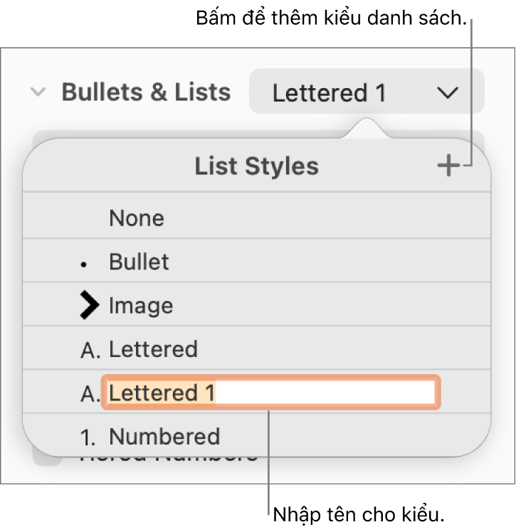 Menu bật lên Kiểu danh sách có nút Thêm ở góc trên cùng bên phải và tên kiểu giữ chỗ với văn bản được chọn.