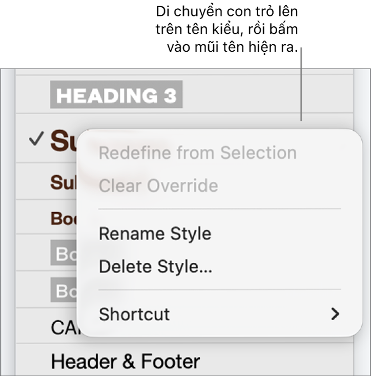 Menu Kiểu đoạn với menu phím tắt mở.