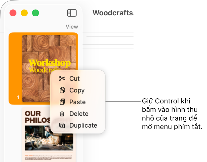Chế độ xem Hình thu nhỏ của trang với một hình thu nhỏ được chọn và menu phím tắt mở.