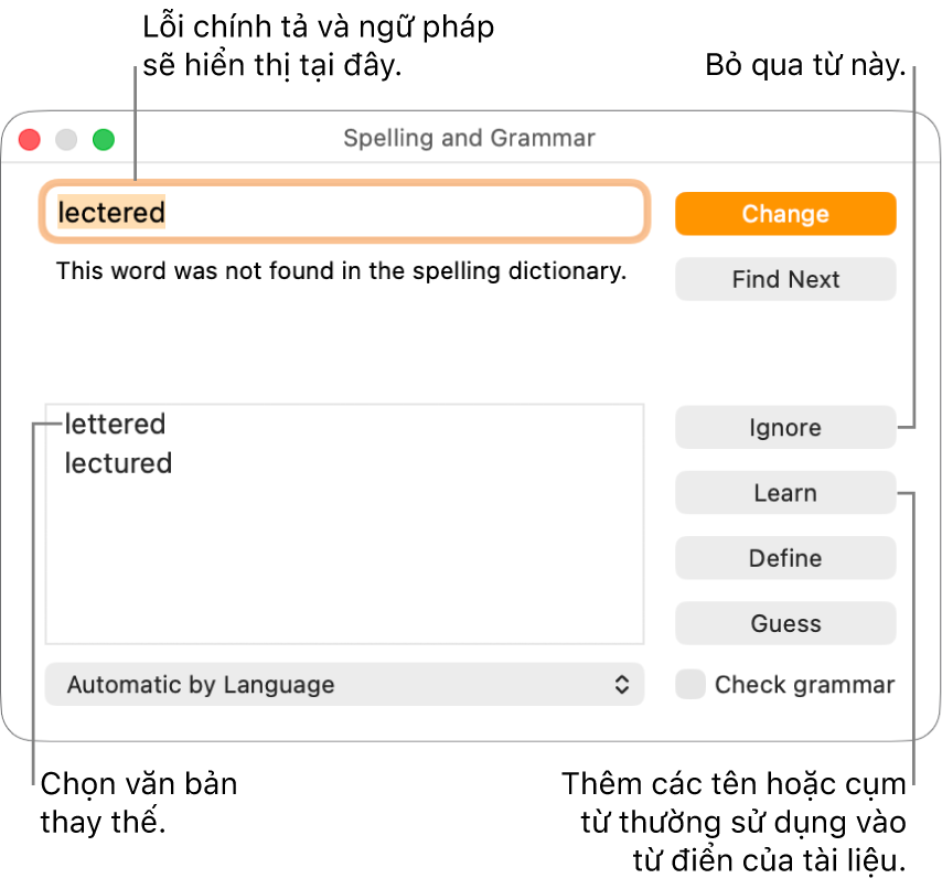 Cửa sổ Chính tả và ngữ pháp.