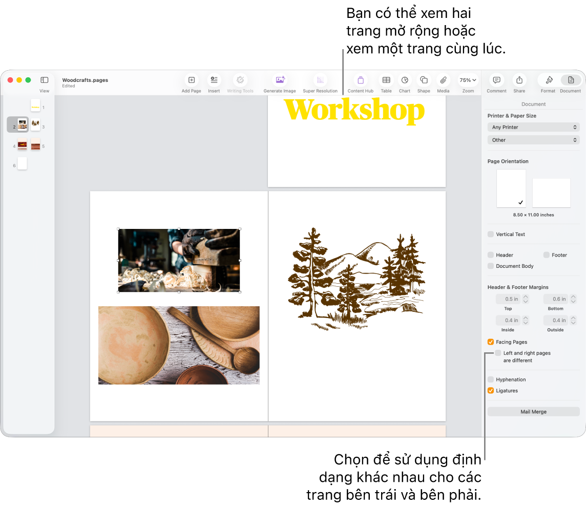 Cửa sổ Pages với các hình thu nhỏ của trang và các trang tài liệu được xem dưới dạng bản in hai trang. Trong thanh bên Tài liệu ở bên phải, hộp kiểm “Trang bên trái và bên phải khác nhau” được chọn.