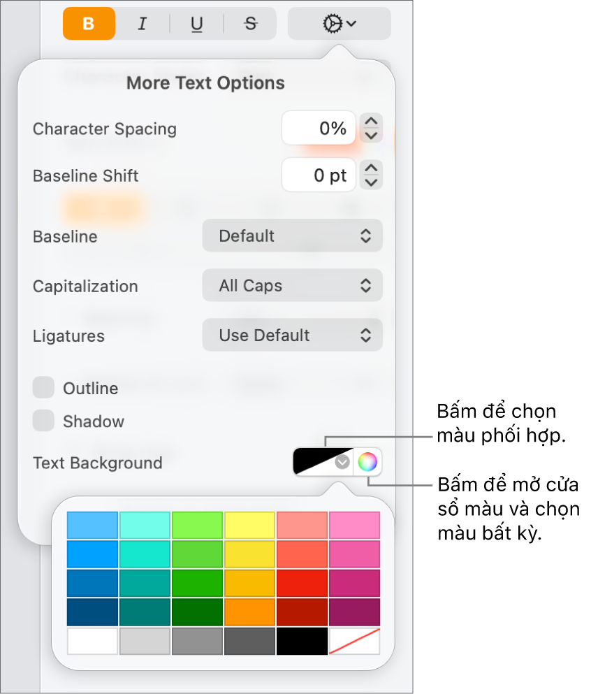 Các điều khiển để chọn màu nền cho văn bản.