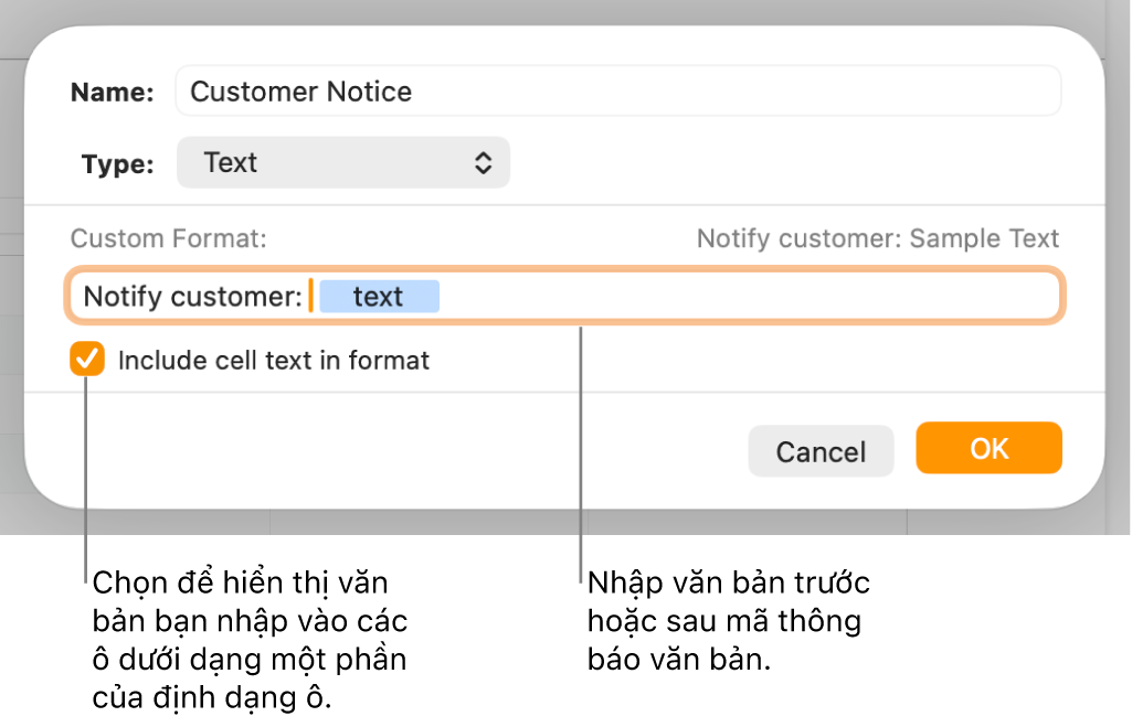 Cửa sổ định dạng ô tùy chỉnh với các điều khiển để chọn định dạng văn bản tùy chỉnh.