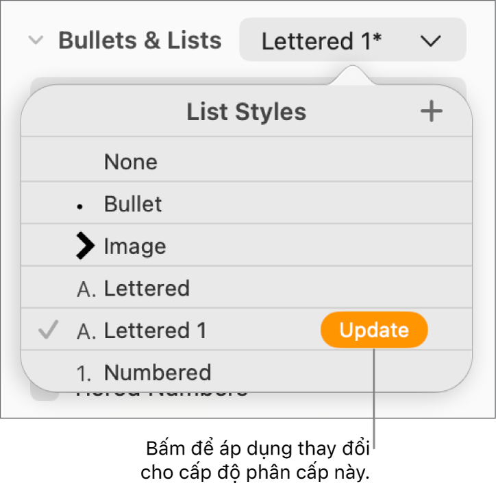 Menu bật lên Kiểu danh sách có nút Cập nhật bên cạnh tên của kiểu mới.