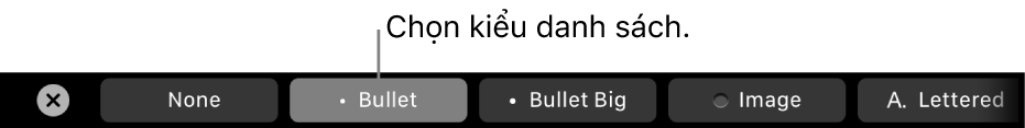 Touch Bar của MacBook Pro với các điều khiển để chọn kiểu danh sách.