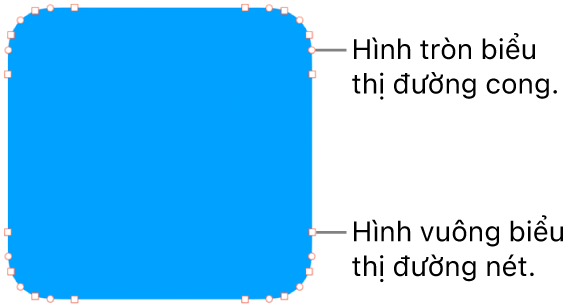 Hình có các điểm có thể sửa.