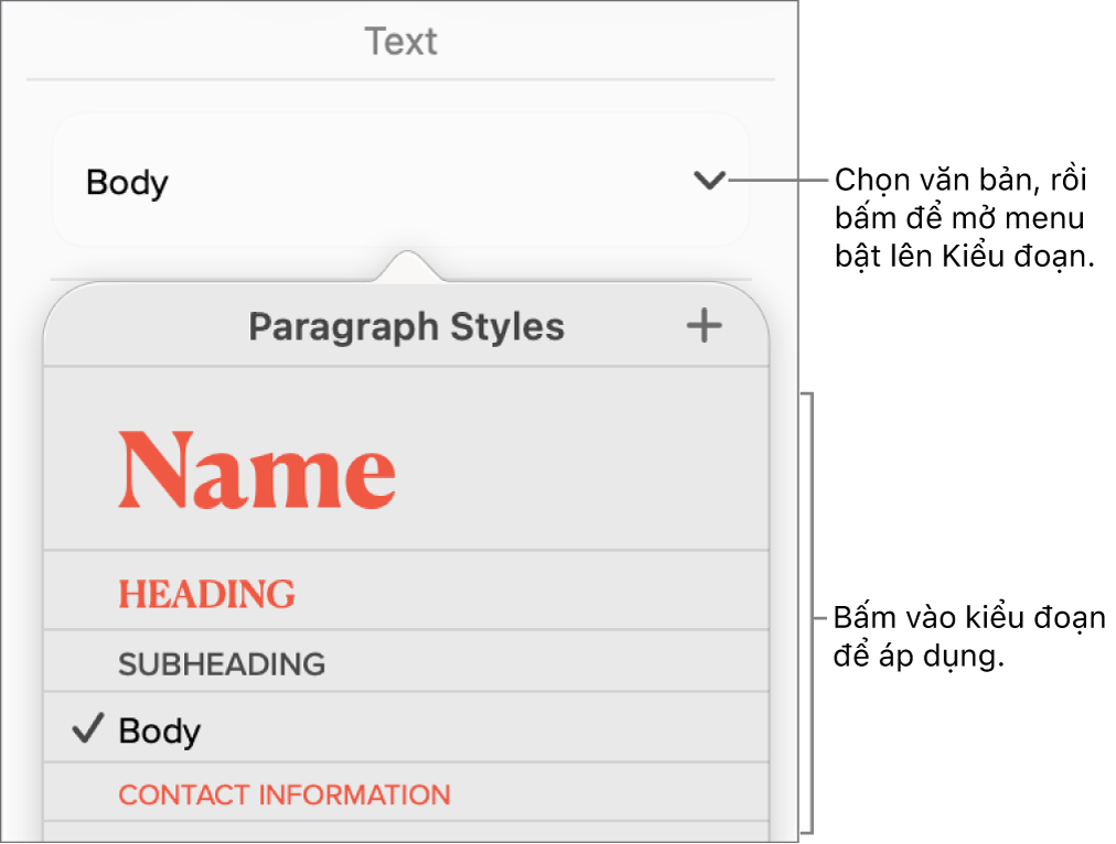 Menu Kiểu đoạn.