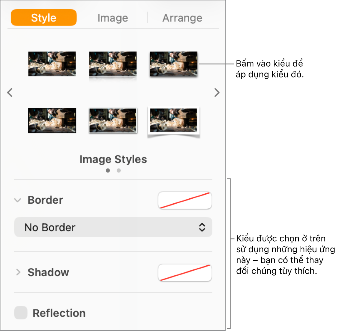 Tab Kiểu của thanh bên Định dạng hiển thị các tùy chọn kiểu đối tượng.