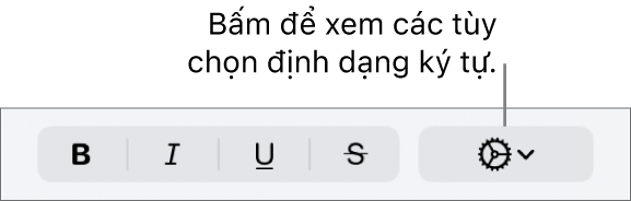 Menu bật lên Tùy chọn văn bản khác ở bên phải của các nút Đậm, Nghiêng, Gạch chân và Gạch xuyên.
